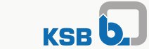 Kbs Logo